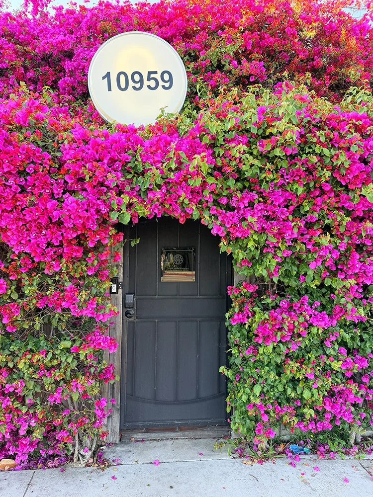 Front door
