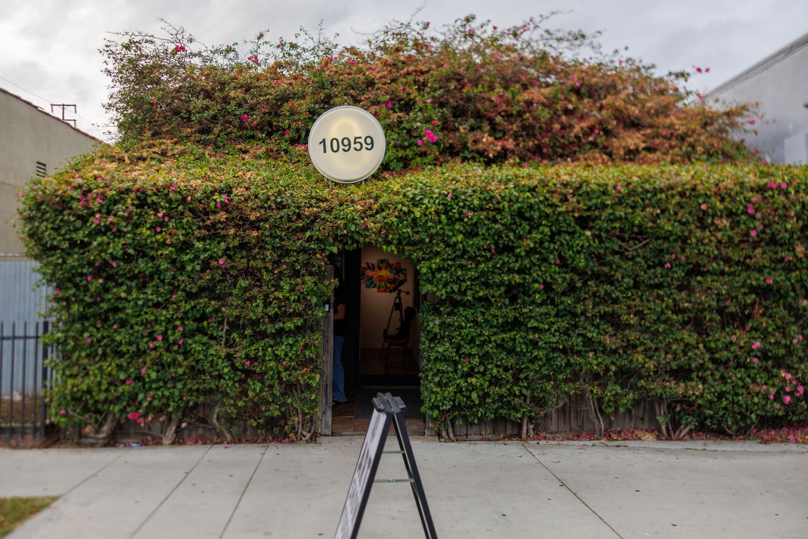 Storefront with the door open on a show day
